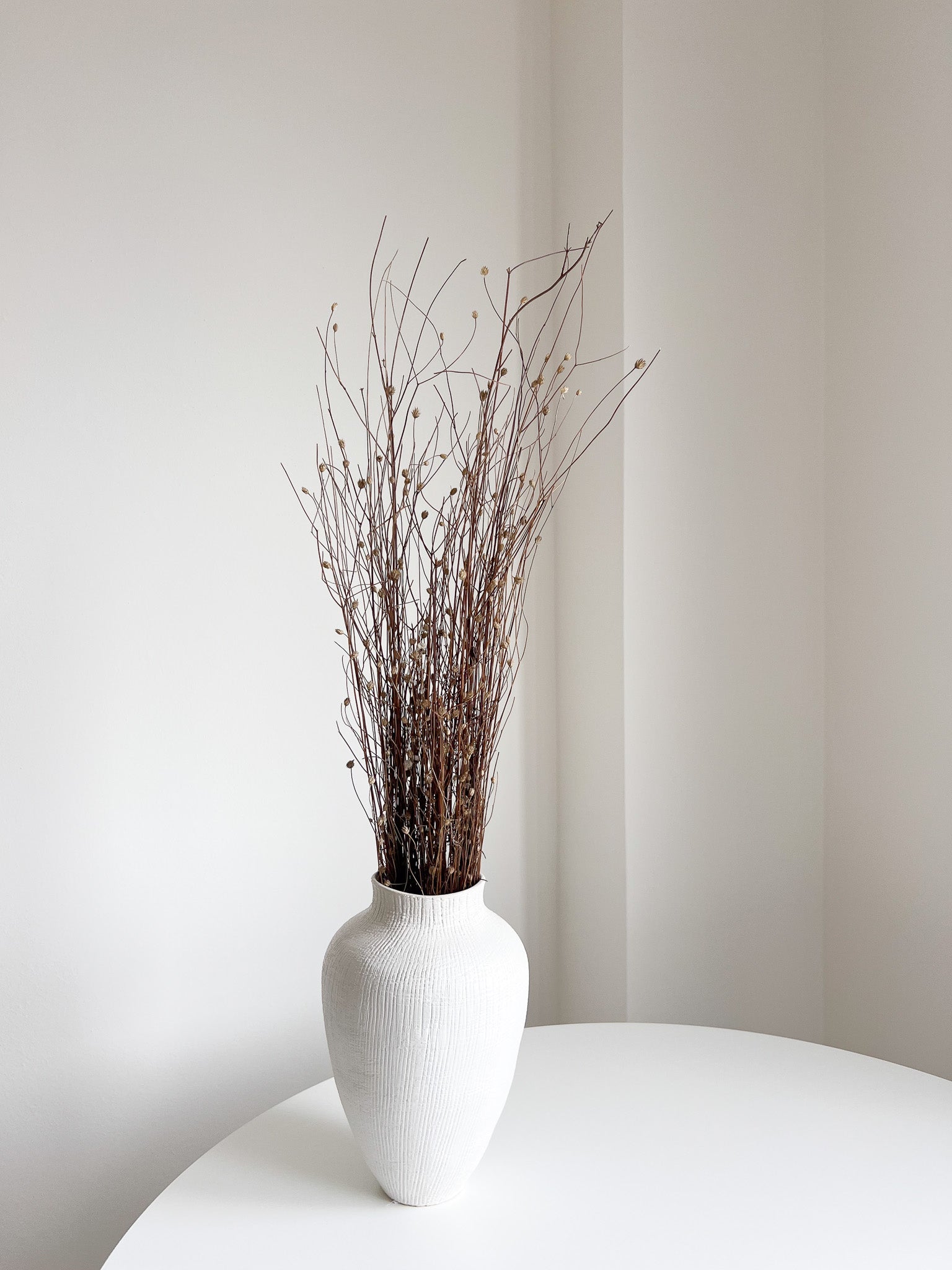 MENA » Gomphrena naturale essiccata selvatica H100cm - Bloomoon