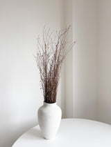 MENA » Gomphrena naturale essiccata selvatica H100cm - Bloomoon
