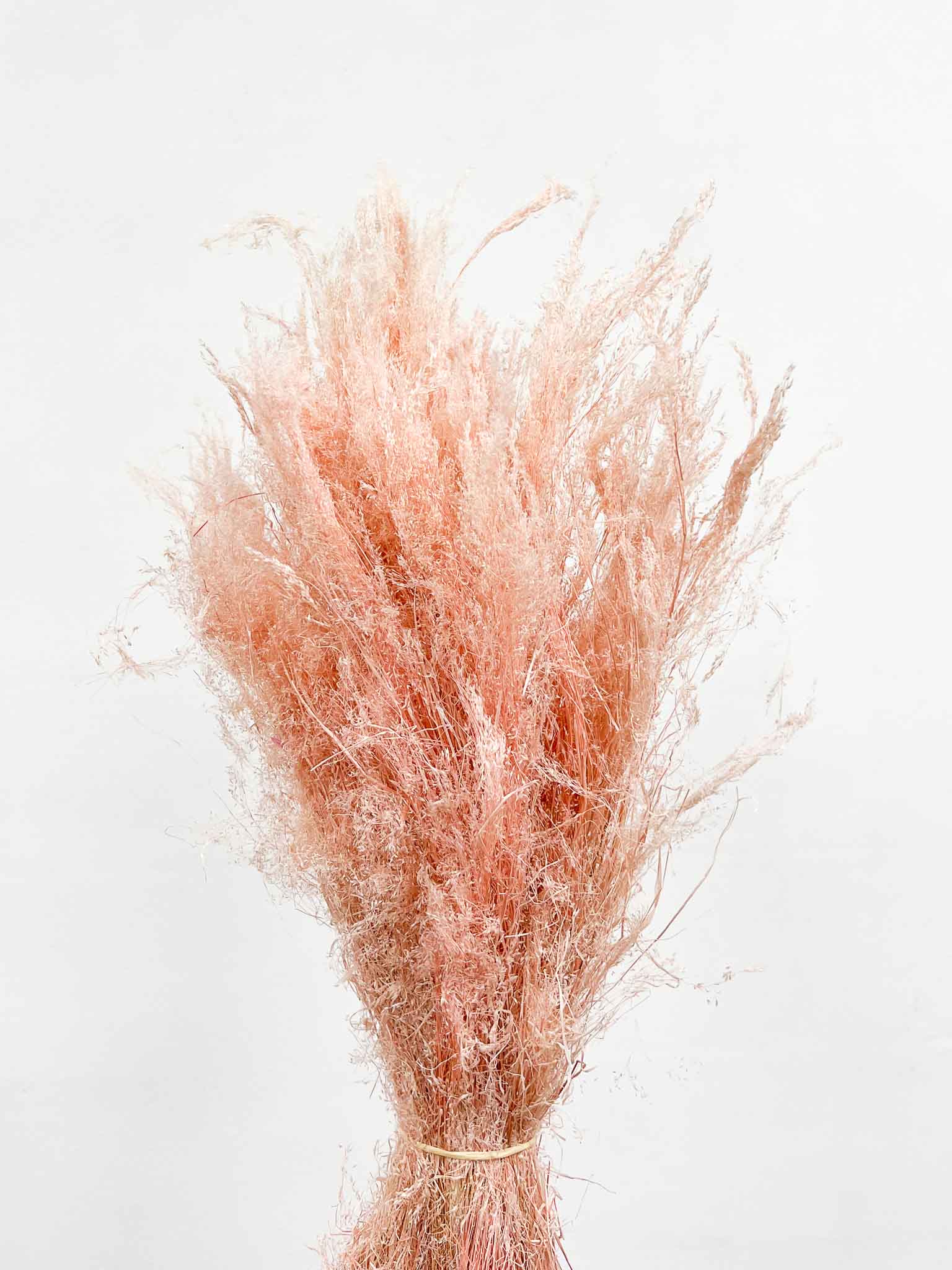 MILENA » Mazzo di Agrostis rosa chiaro - Bloomoon