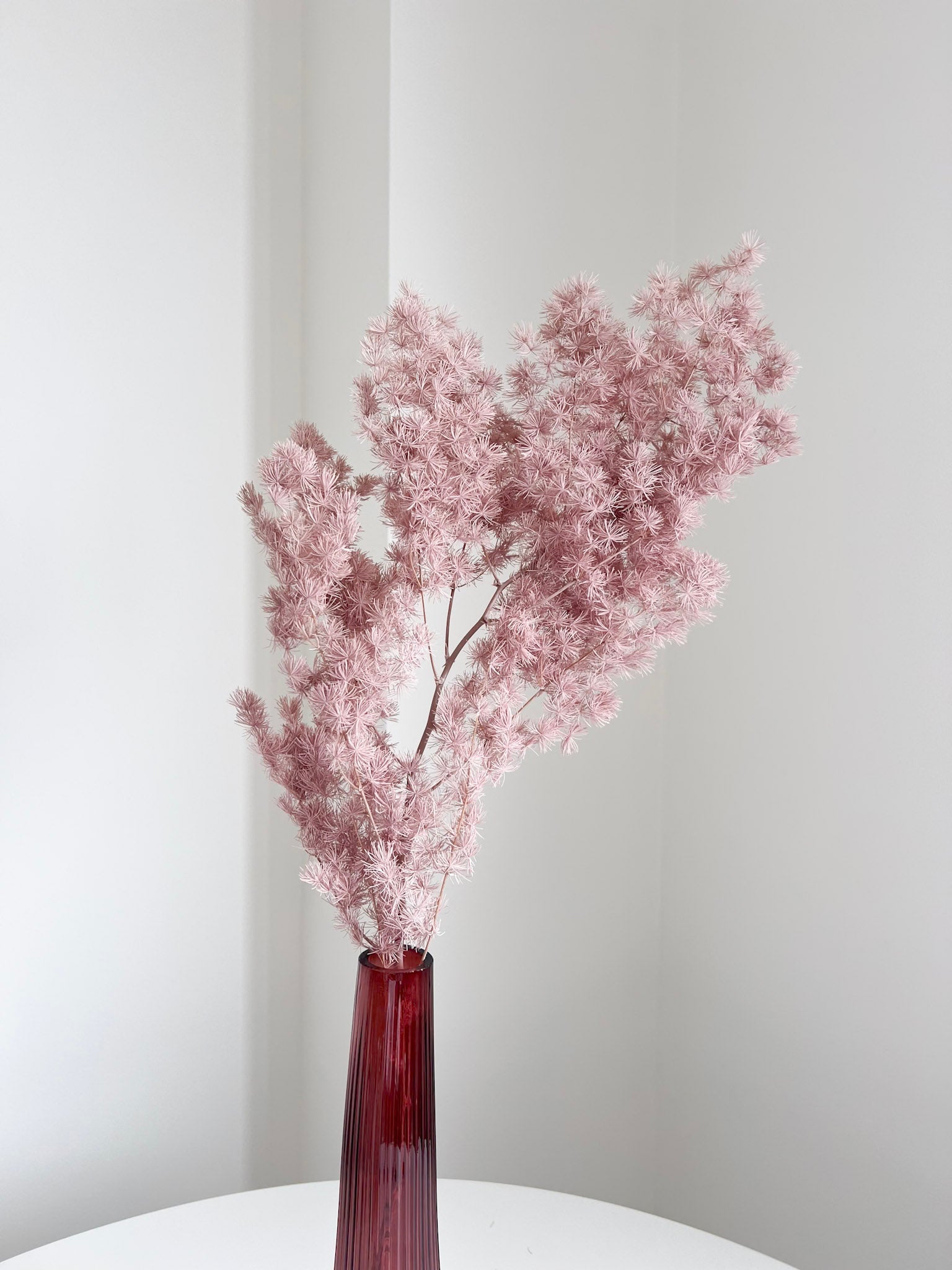 MINGO » Ming fern stabilizzato malva - Bloomoon