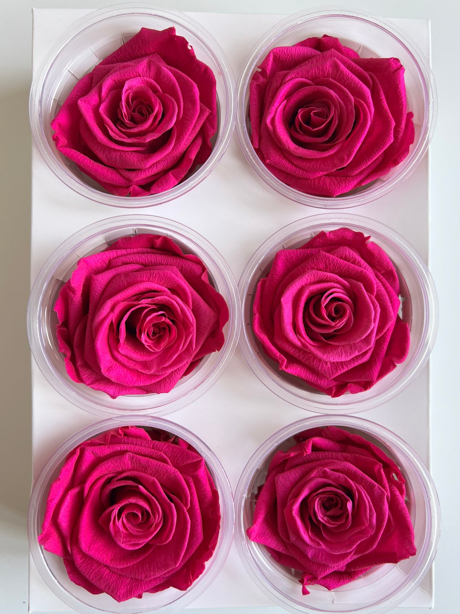 MIRIANA » Box da 6 fiori di Rosa fucsia diametro 6,5cm standard - Bloomoon