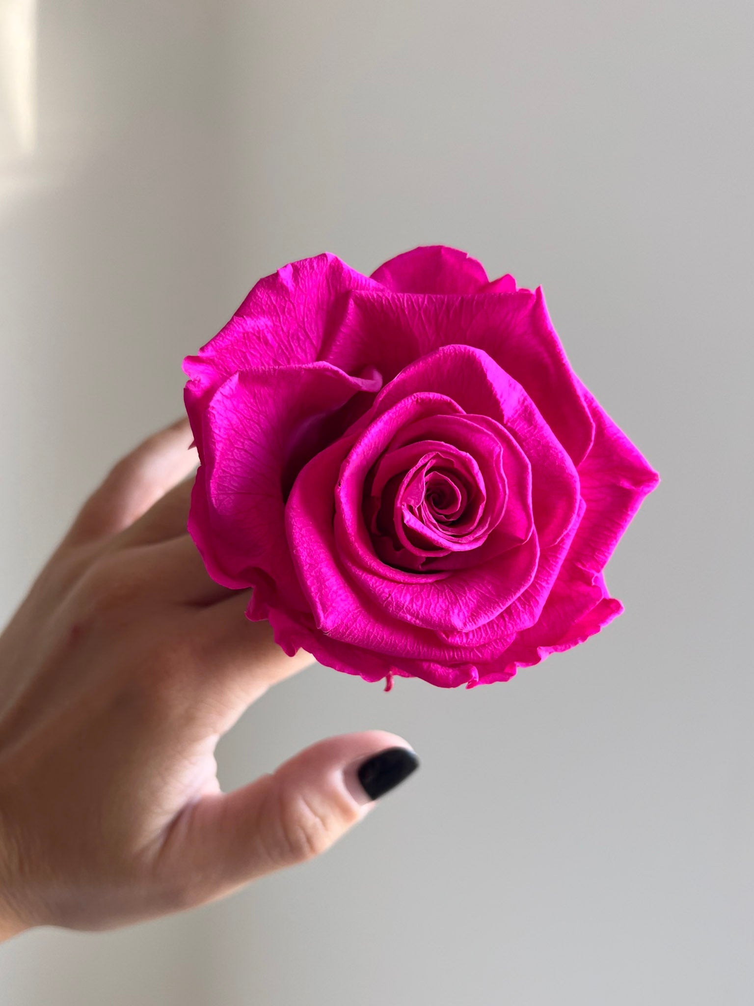 MIRIANA » Box da 6 fiori di Rosa fucsia diametro 6,5cm standard - Bloomoon
