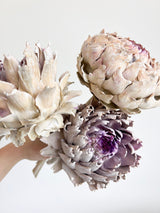 MOLLY » 3 Carciofi grandi essiccati bianco e viola - Bloomoon