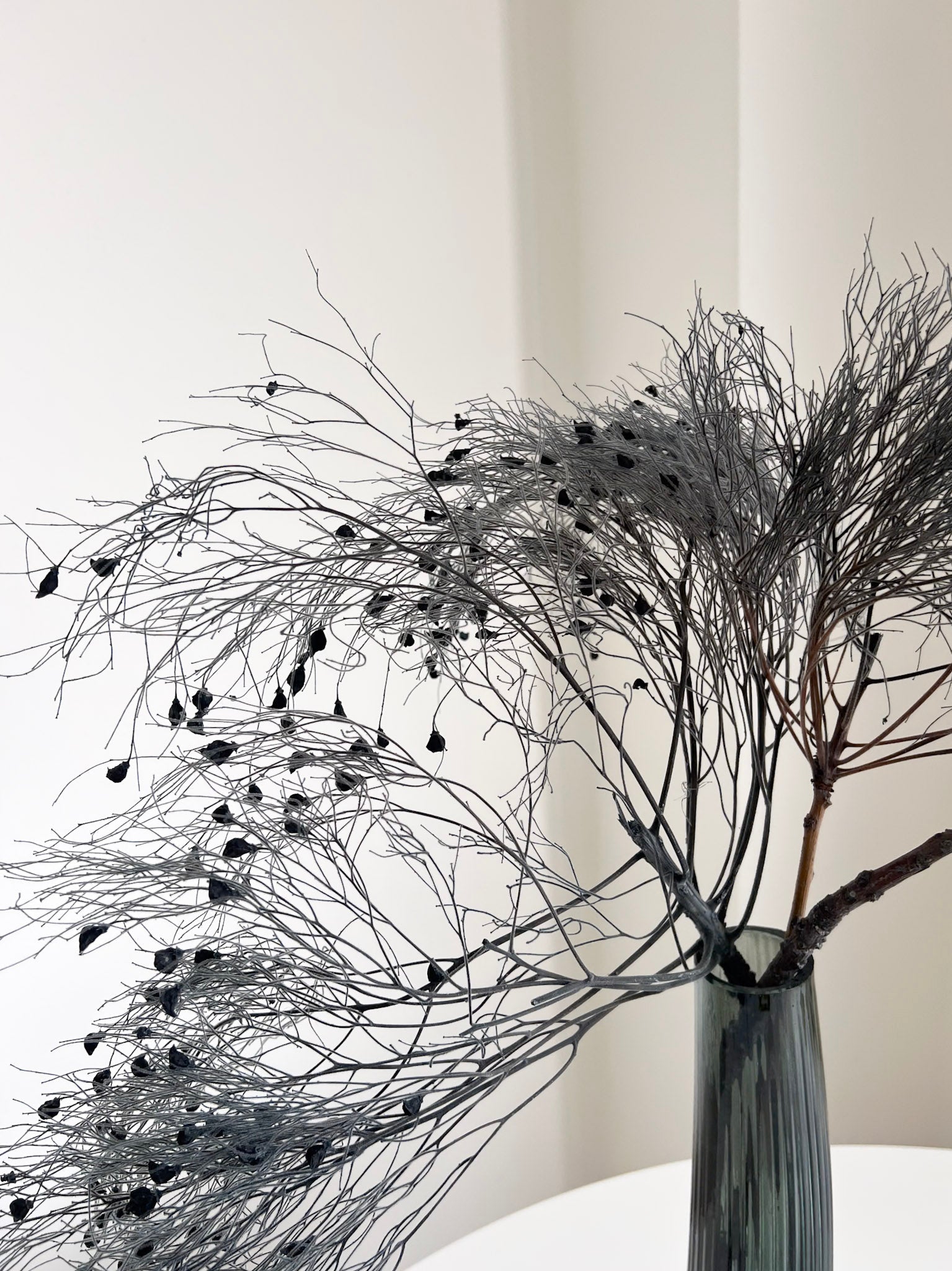 MORTISIA » Dream Grass stabilizzata grigio - Bloomoon