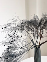 MORTISIA » Dream Grass stabilizzata grigio - Bloomoon