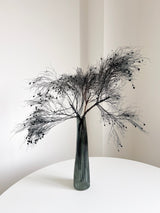 MORTISIA » Dream Grass stabilizzata grigio - Bloomoon