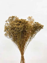 NADA » Mazzo di Broom Bloom naturale - Bloomoon
