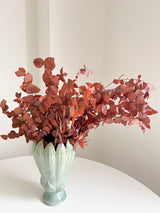 NADIA » Mazzo di Eucalipto Stuartiana stabilizzato arancione - Bloomoon