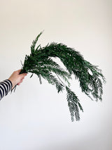 NATANIELE » mazzo di foglie di pepe stabilizzato verde H70cm - Bloomoon