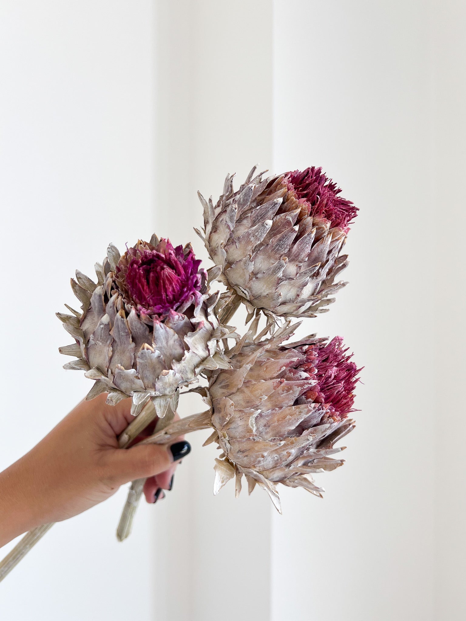 NICOLE » Mazzo da tre fiori di Carciofo bianco e viola - Bloomoon