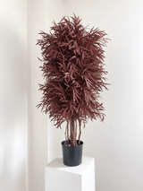 NICOLYNA » pianta stabilizzata di eucalipto nicoli rosso scuro H130cm - Bloomoon