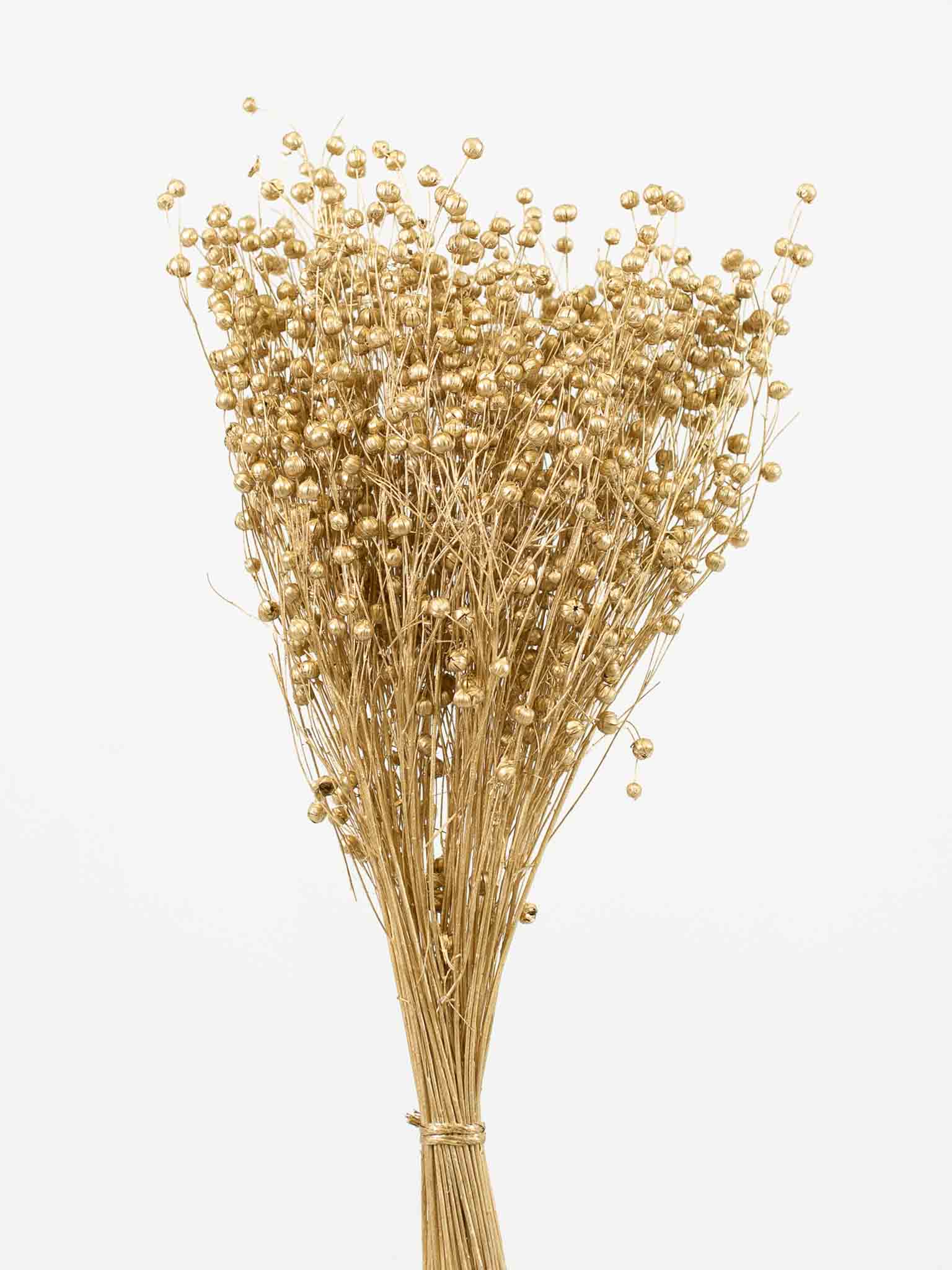 NILDE » Mazzo di Lino oro - Bloomoon