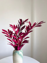 NIVES » Cocculus stabilizzato fucsia H70cm - Bloomoon