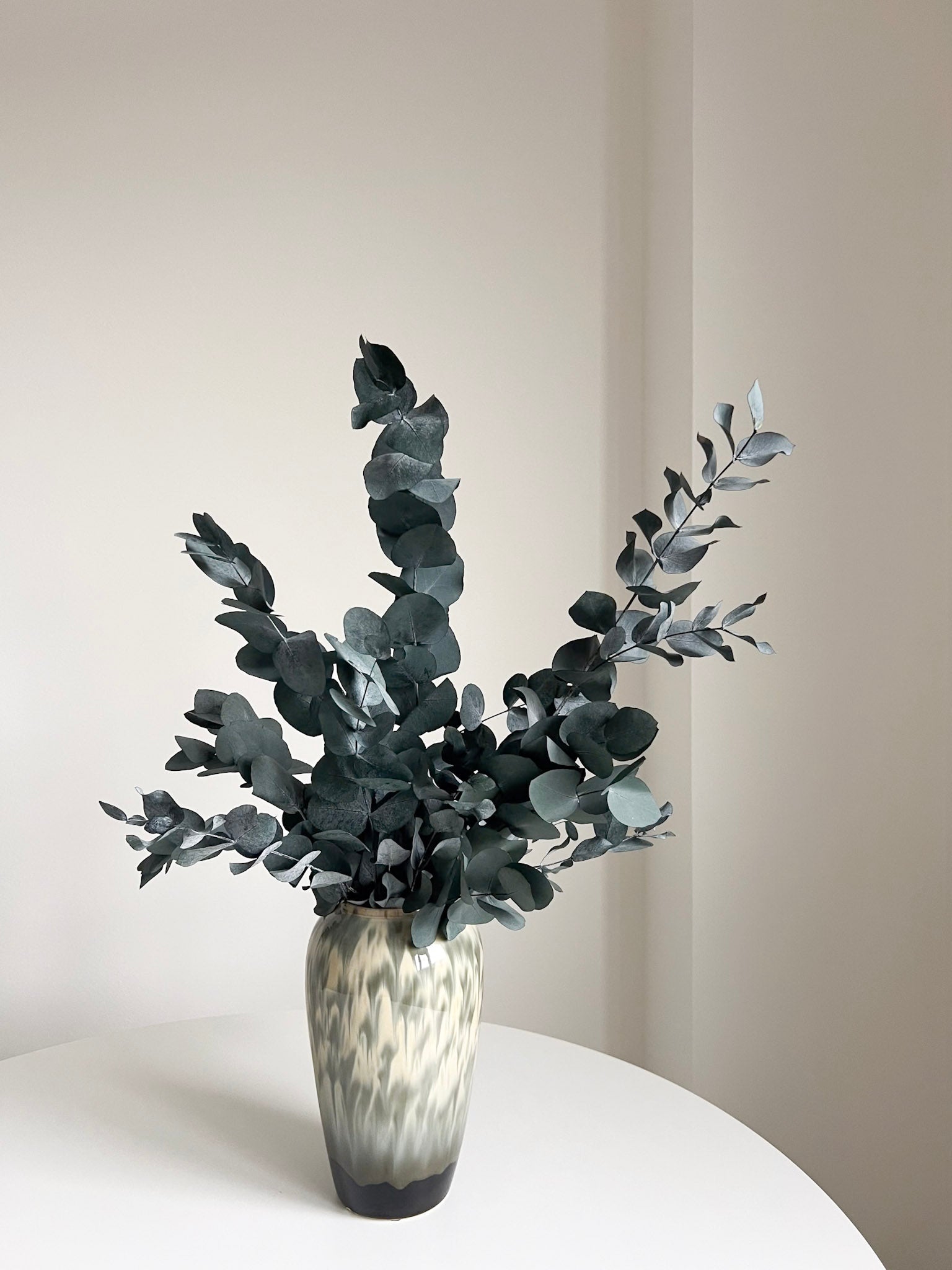 NOARA » Eucalipto Cinerea stabilizzato verde - Bloomoon