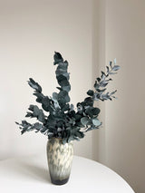 NOARA » Eucalipto Cinerea stabilizzato verde - Bloomoon