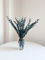 NORMA » Mazzo di Eucalipto Baby Blue verde stabilizzato - Bloomoon