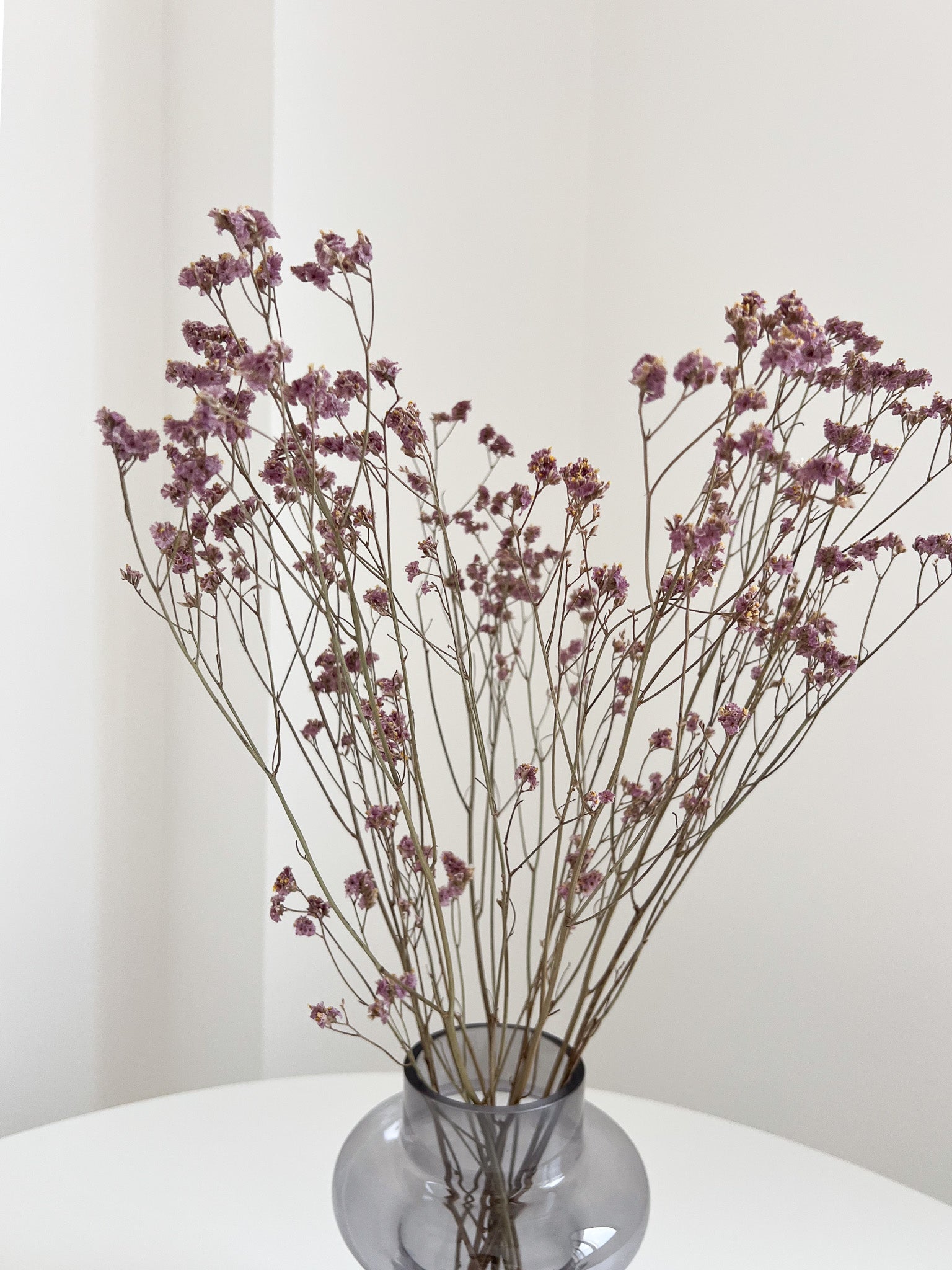 ODOBARDO » Limonium essiccato naturale - Bloomoon