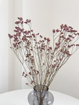 ODOBARDO » Limonium essiccato naturale - Bloomoon