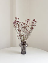 ODOBARDO » Limonium essiccato naturale - Bloomoon
