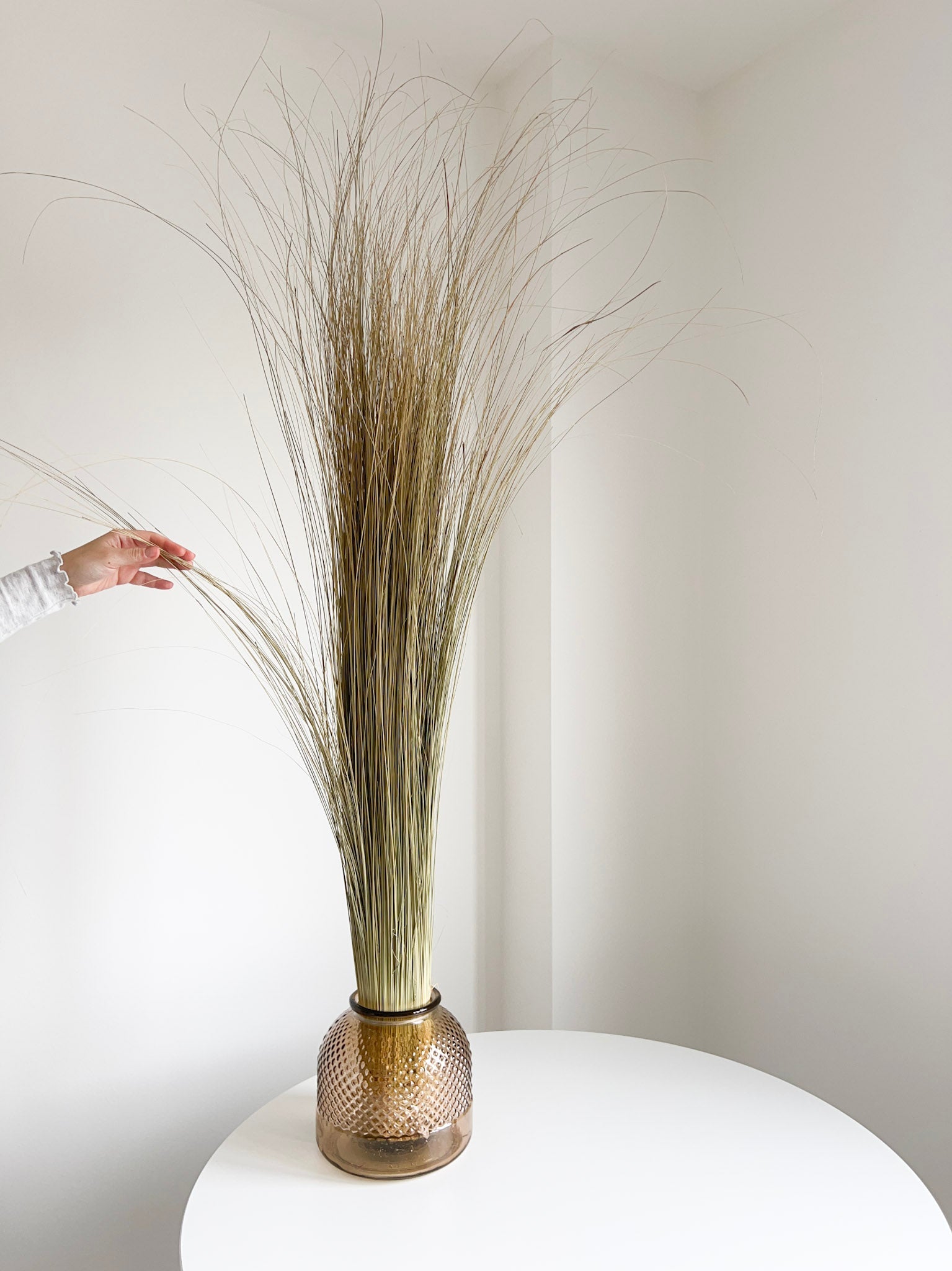 OLENA » Mazzo di Salicchio essiccato grande - Bloomoon
