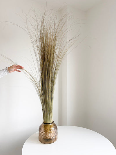 OLENA » Mazzo di Salicchio essiccato grande - Bloomoon