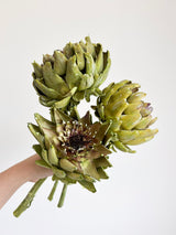 OLINTO » 3 Carciofi grandi essiccati verdi - Bloomoon