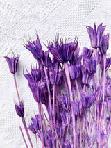 OLISA » Mazzo di Nigella Orientalis essiccata viola - Bloomoon