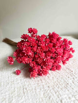 ORNELLA » Mazzo di fiori di Hill Flower ciclamino - Bloomoon