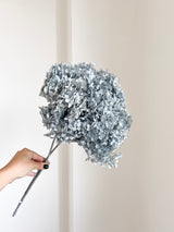ORTUS » Ortensia stabilizzata Annabelle stelo lungo grigio chiaro - Bloomoon