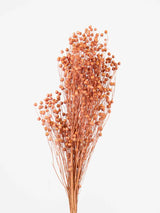 OTTAVIA » Mazzo di Lino rosa antico - Bloomoon