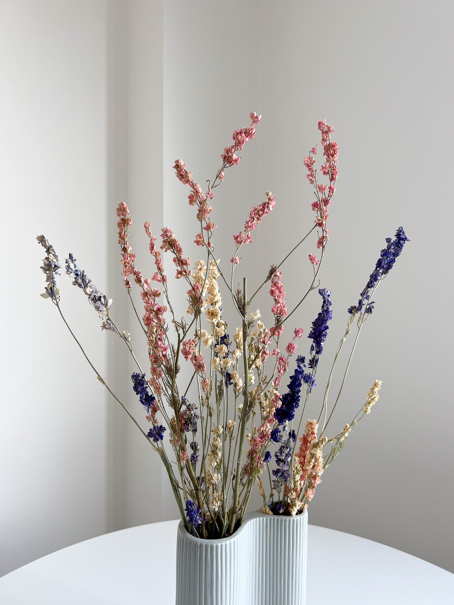 OTTAVIANO » mazzo di fiori di delphinium naturale essiccato - Bloomoon