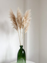 PAMELA » Pampas naturale chiara 5 steli 115cm - Bloomoon