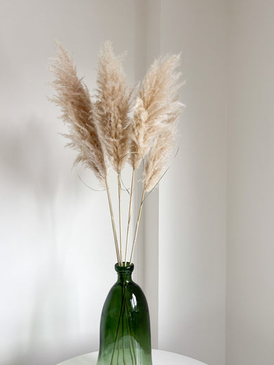 PAMELA » Pampas naturale chiara 5 steli 115cm - Bloomoon