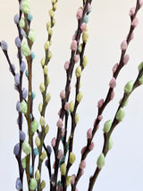PASTEL » Mazzo di Salice multicolor pastello - Bloomoon