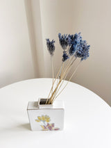 QUIRICO » Mazzo di Ammi Majus fiore piccolo carta da zucchero - Bloomoon