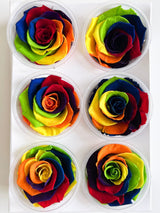RAINBOW » Box da 6 fiori di rose arcobaleno 6,5cm standard - Bloomoon