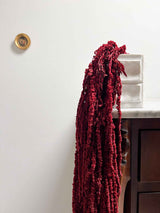 RAMONA » Amaranthus ricadente stabilizzato bordeaux - Bloomoon