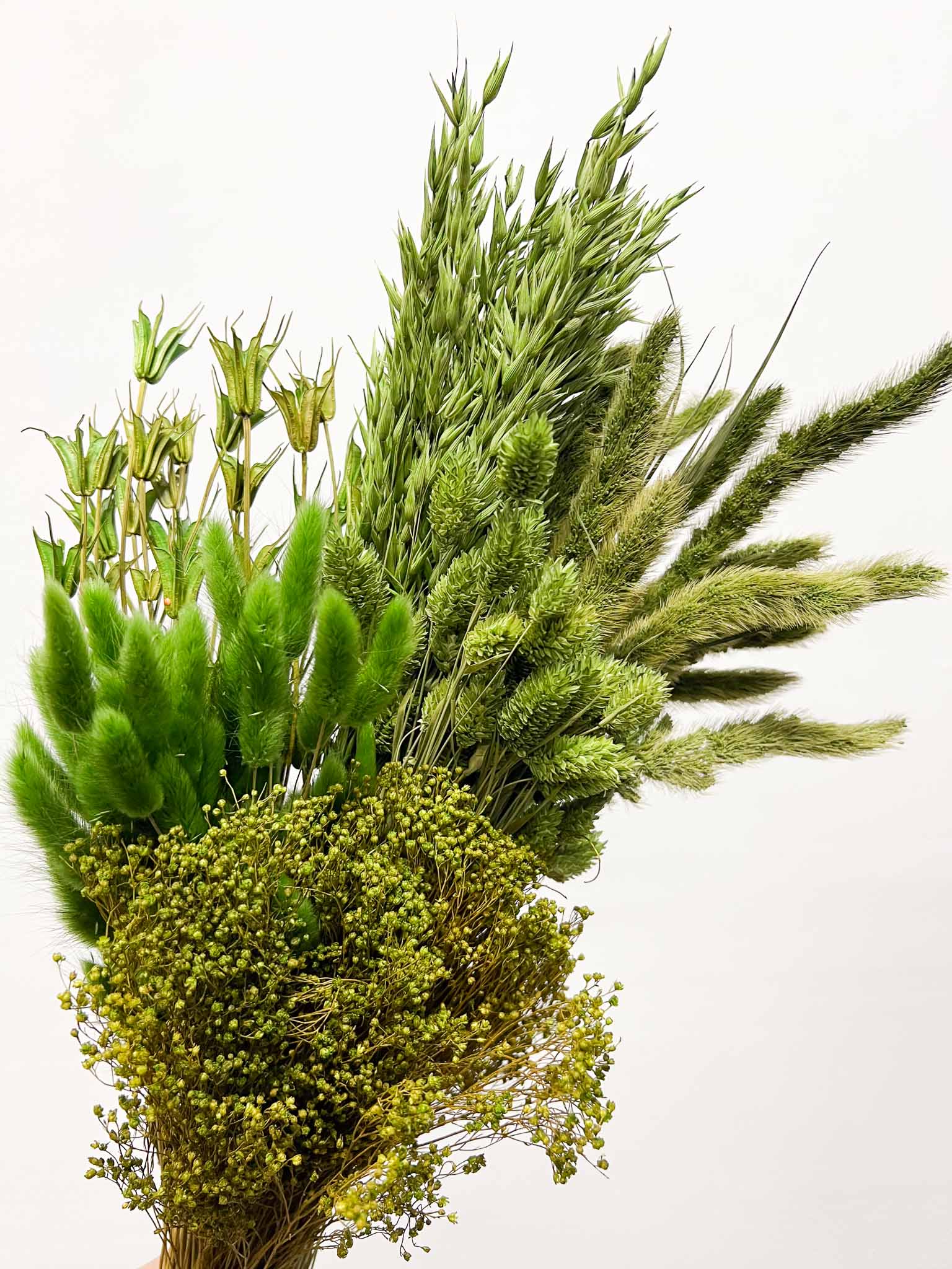 RANIA » Mazzo per bouquet di fiori secchi misti verde mela - Bloomoon