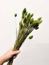 RANIA » Mazzo per bouquet di fiori secchi misti verde mela - Bloomoon