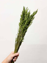 RANIA » Mazzo per bouquet di fiori secchi misti verde mela - Bloomoon