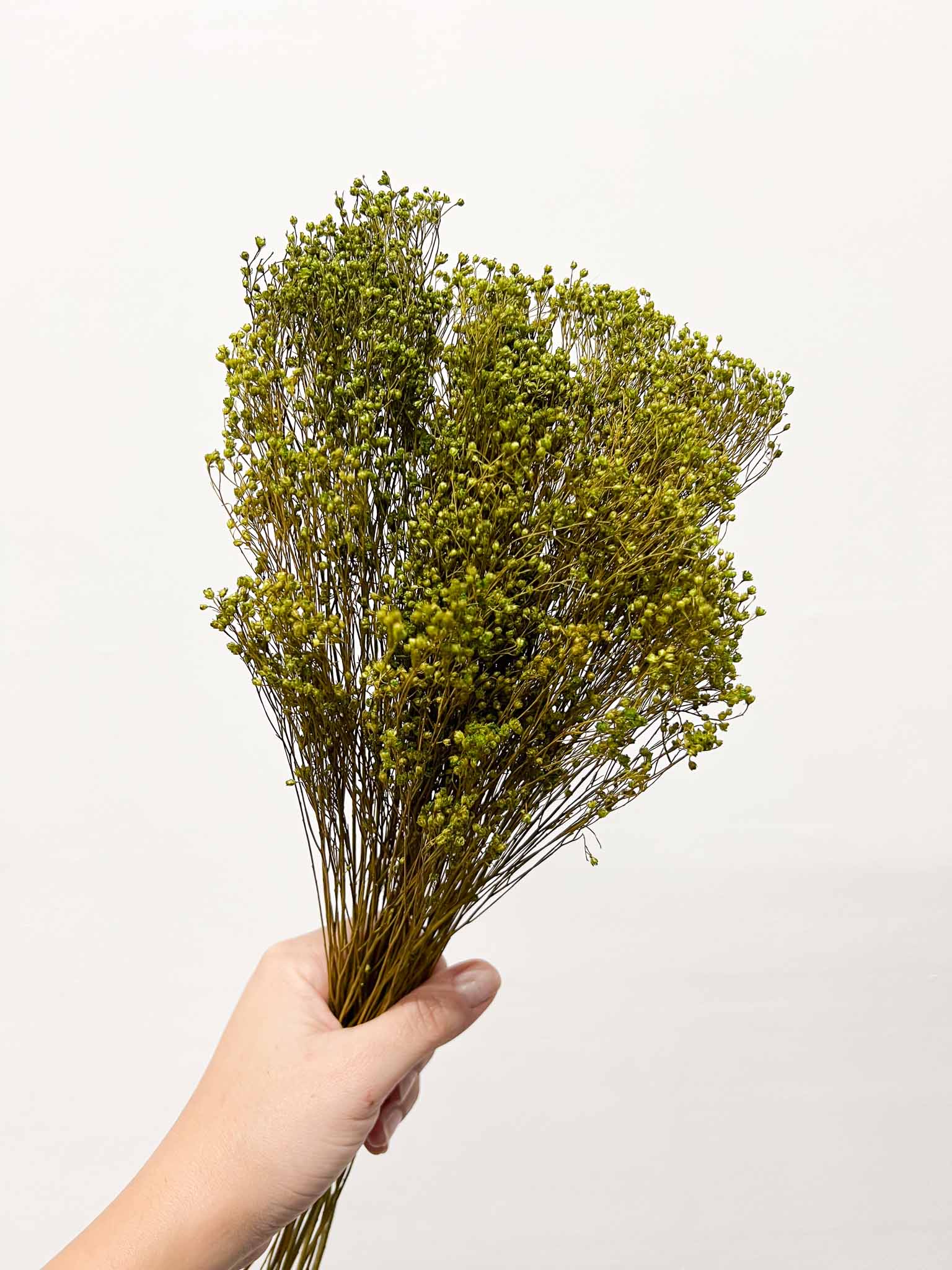 RANIA » Mazzo per bouquet di fiori secchi misti verde mela - Bloomoon