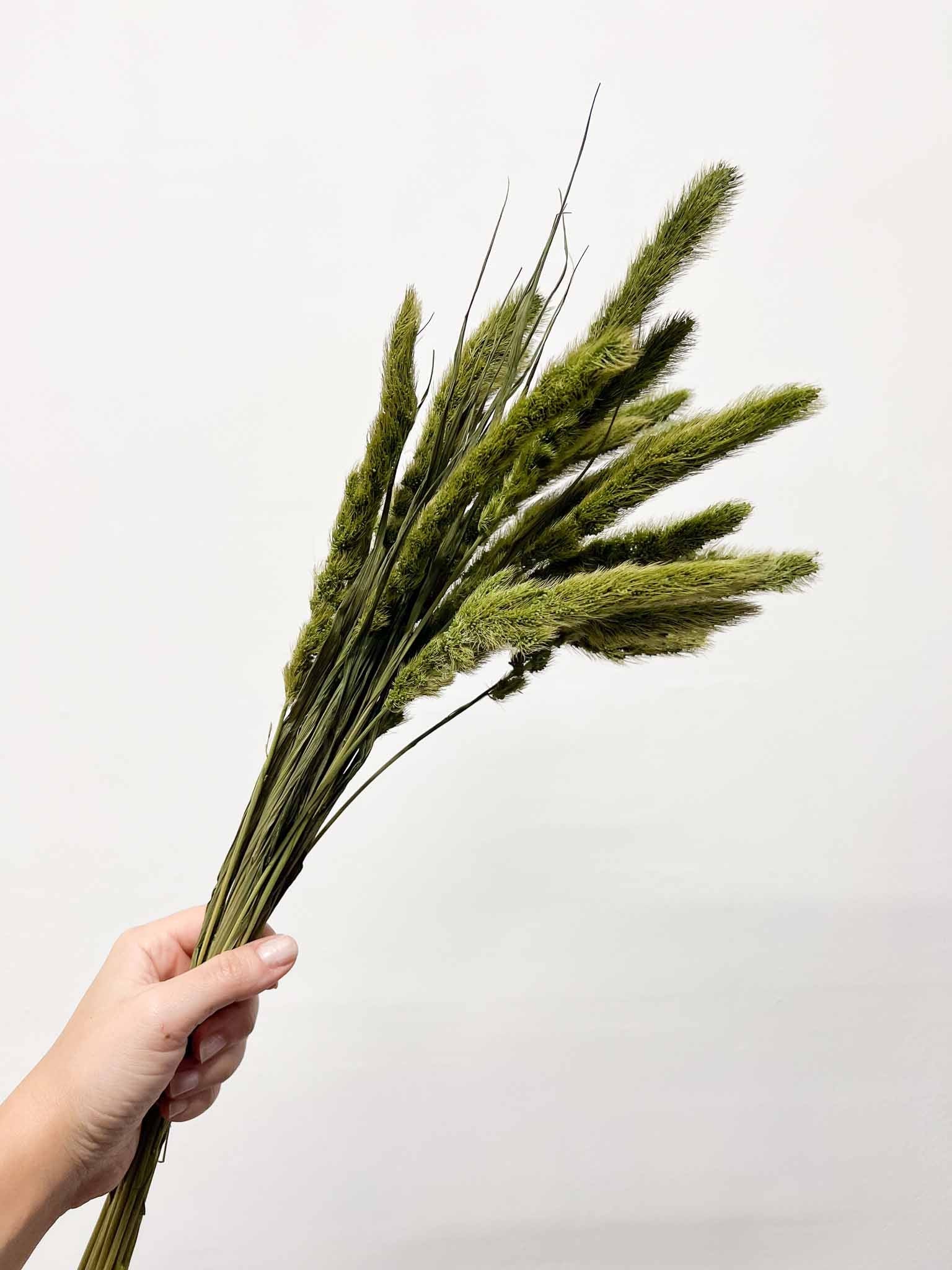 RANIA » Mazzo per bouquet di fiori secchi misti verde mela - Bloomoon