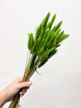 RANIA » Mazzo per bouquet di fiori secchi misti verde mela - Bloomoon
