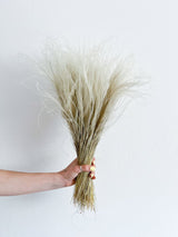 REBECCA » Natural Stipa Pennata bouquet