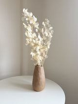 REMO » Mazzo di Lunaria o monete del papa avorio H100cm - Bloomoon