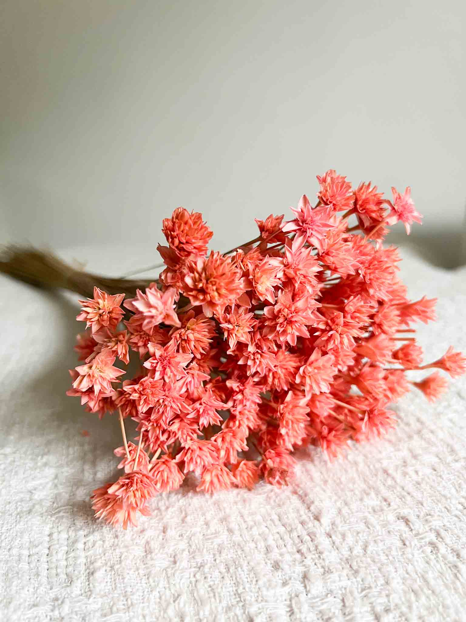 RINA » Mazzo di fiori di Hill Flower rosa - Bloomoon