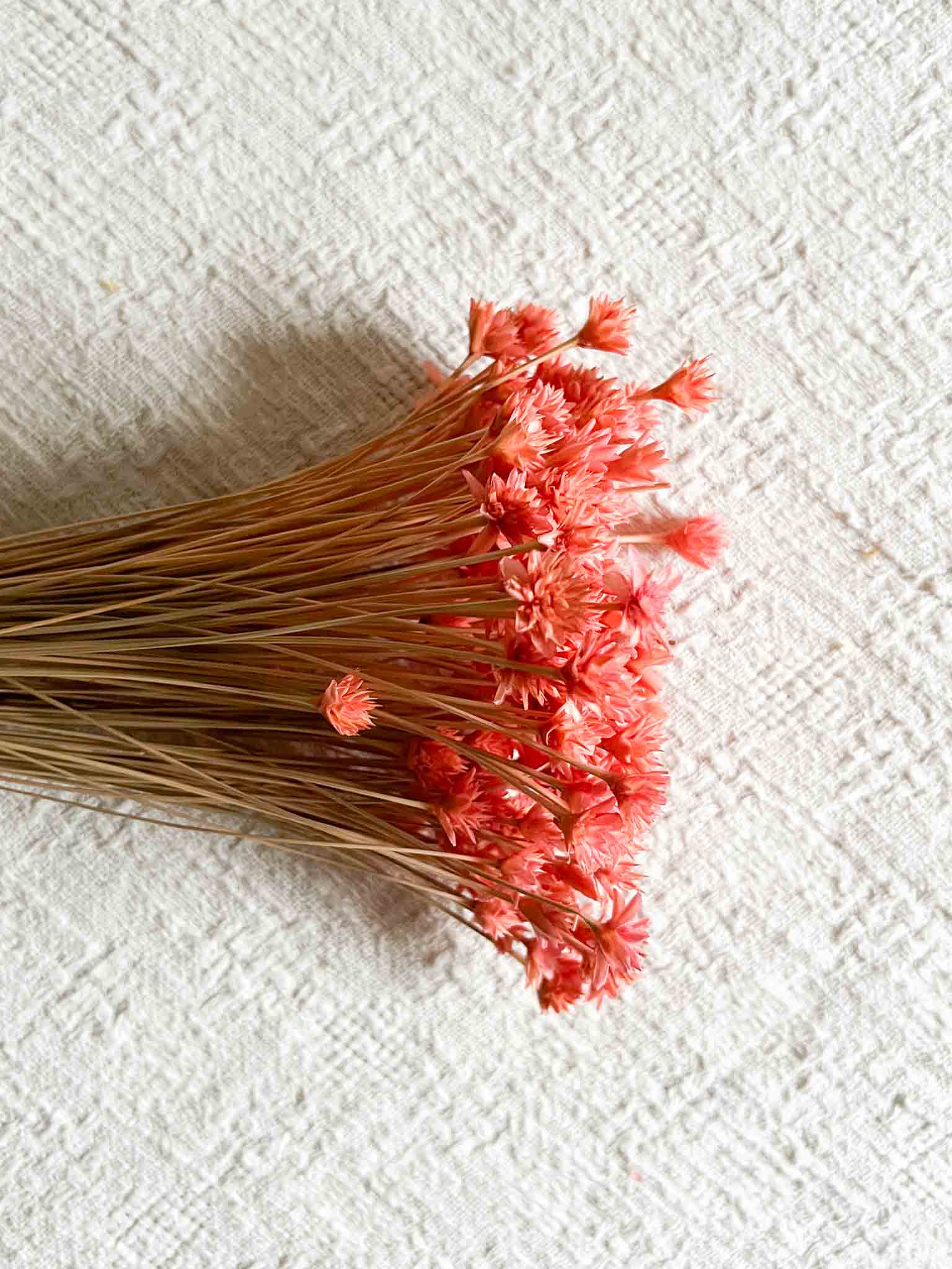 RINA » Mazzo di fiori di Hill Flower rosa - Bloomoon