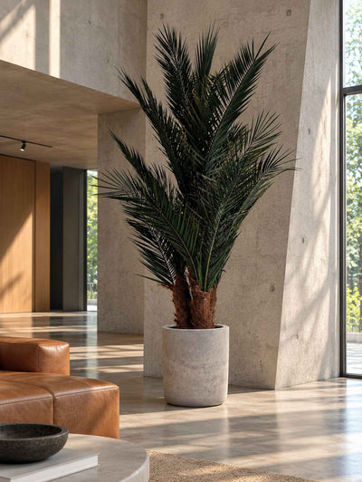 ROBIN » pianta stabilizzata phoenix verde 220cm - Bloomoon