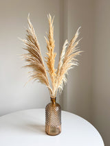 ROGER » Pampas stabilizzata piccola crema H70cm - Bloomoon