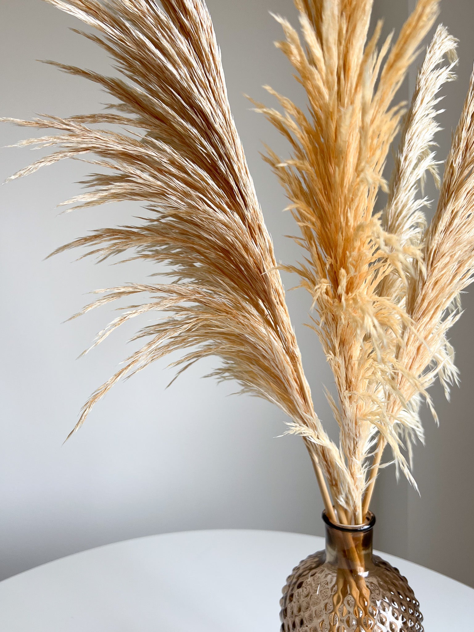 ROGER » Pampas stabilizzata piccola crema H70cm - Bloomoon